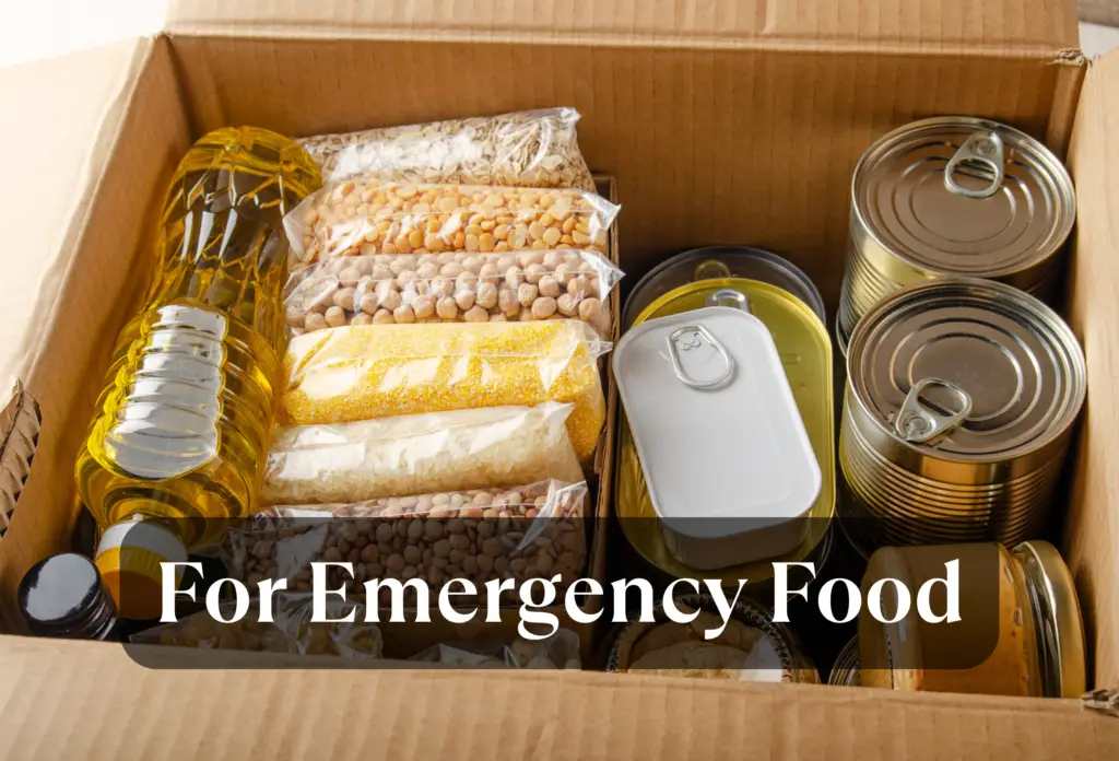 A cardboard box containing emergency food supplies including bottles of cooking oil, vacuum-sealed bags of various grains and legumes, and canned goods with pull-tab lids, with text overlay reading "For Emergency Food.